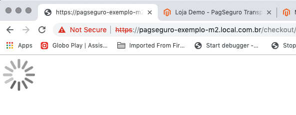 https___pagseguro-exemplo-m2_local_com_br_checkout__shipping.png